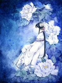 插穴家族